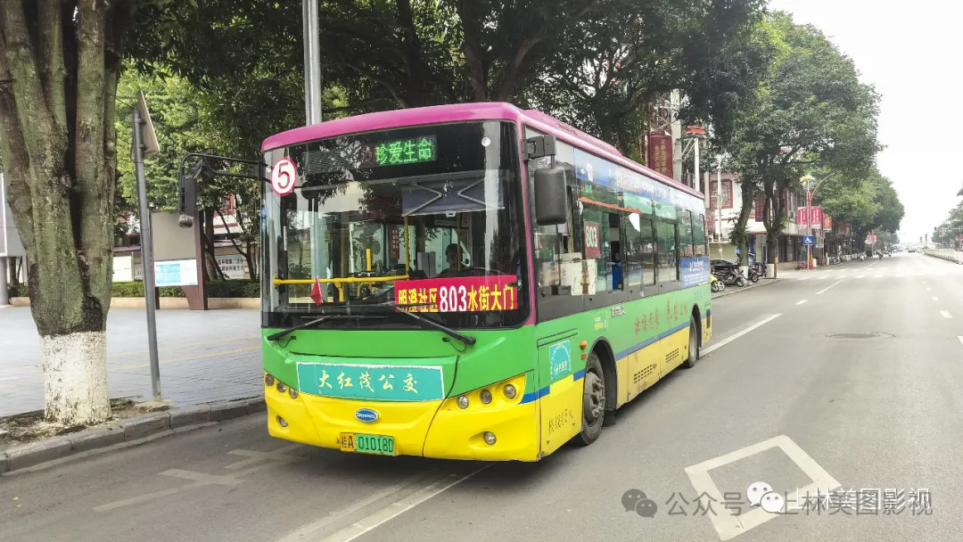 关于上林县县城公交线路暂停运营的公告！