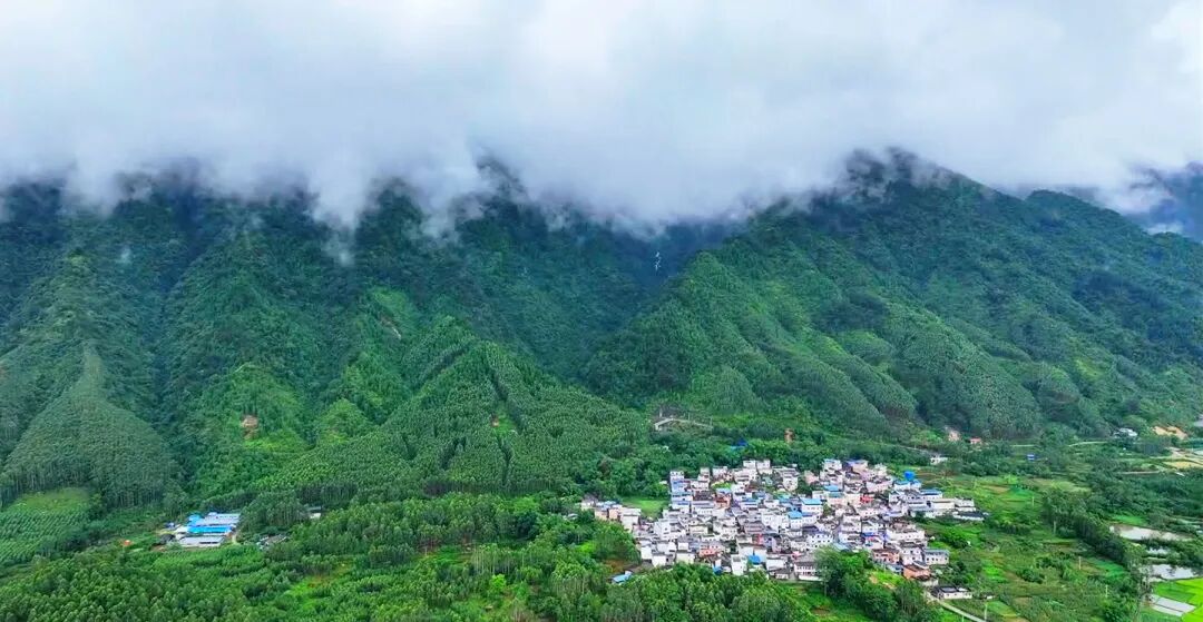 上林这幅现实版“千里江山图”，藏不住了！