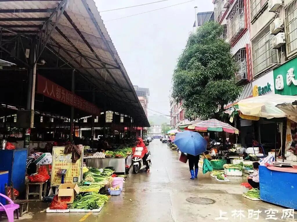 2026年7月上林各乡镇圩日时间表