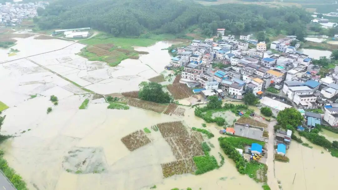 洪水围困村庄！多方救援力量逆行上林，守护村民平安