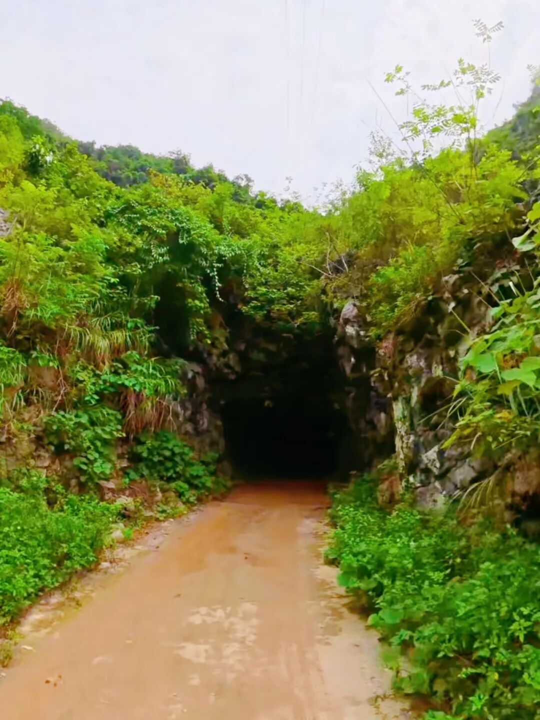 一锤一钎凿穿石山！上林这里的村民徒手开出200米出山隧道！