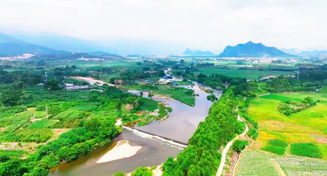 上林这处三岔河段，河水颜色居然不一样！